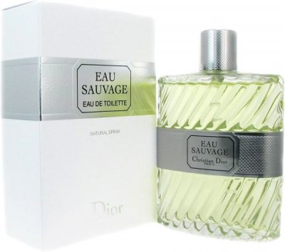 Christian Dior Eau Sauvage for Men Eau de Parfum 100ml in Saudi Arabia ...
